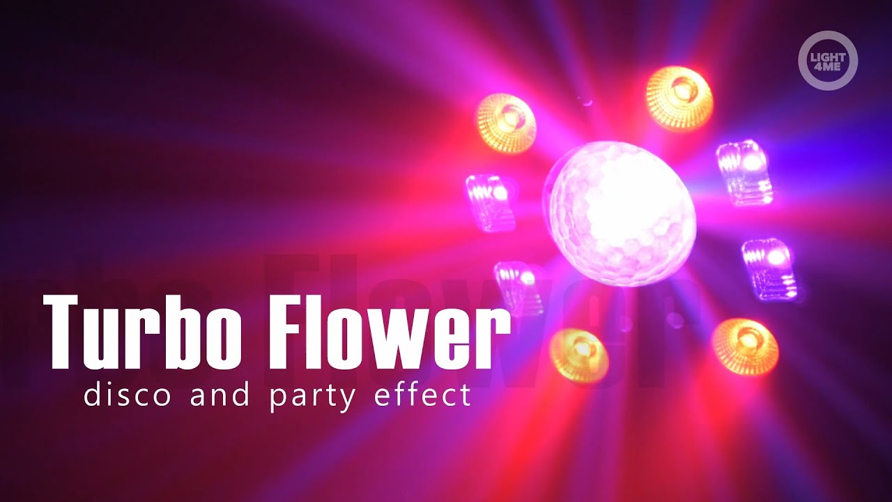 wynajem swiatel dyskotekowych,wypozyczalnia oswietlenia, beamz nomia, eurolite 